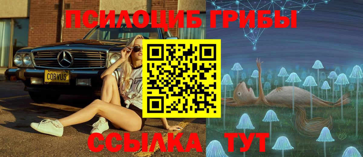 Псилоцибиновые грибы Magic Shrooms  магазин продажи   Кирово-Чепецк  Вход с VPN 