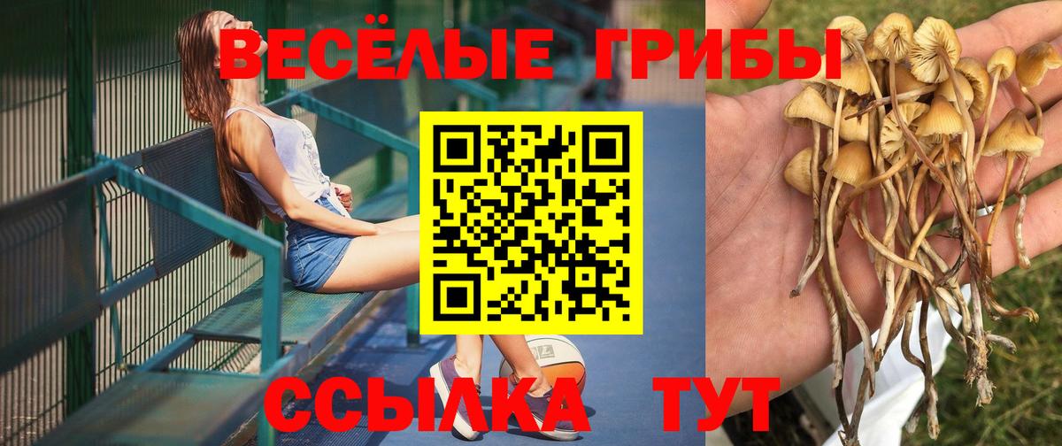 Псилоцибиновые грибы MAGIC MUSHROOMS Кирово-Чепецк